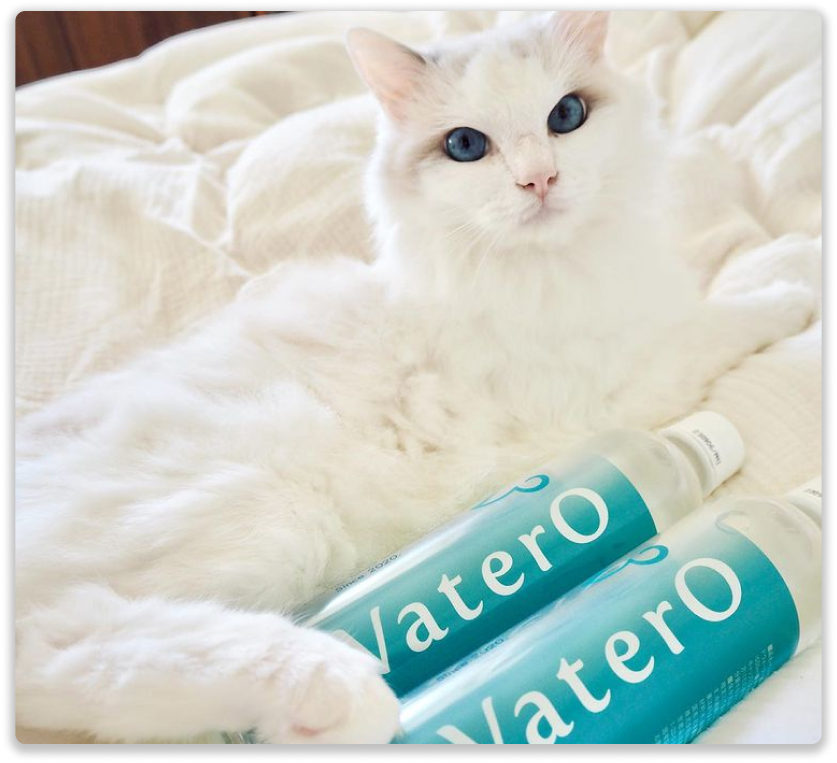 WaterO Official Store 日本初犬猫用酸素補給水 / ウォテロトップページ