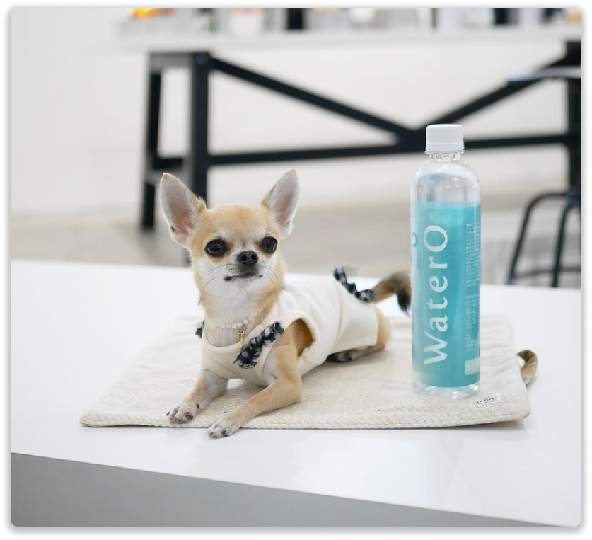 WaterO Official Store 日本初犬猫用酸素補給水 / ウォテロトップページ